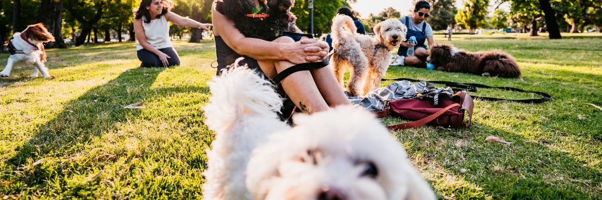 Tuzla’da Evcil Hayvanla Gidilebilecek Alanlar